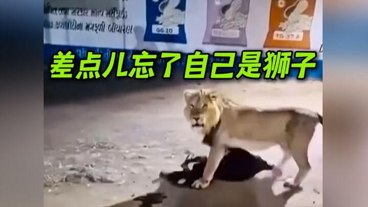 ตราบใดที่ยังมีลมหายใจ ก็จะสนุกไปจนสุดทาง