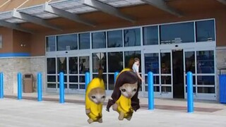 Banana Cat Shopping: Will Cry If He Doesn’t Buy!