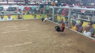 nc 2x winner na ung mistisong kanawayonxcuban 💪