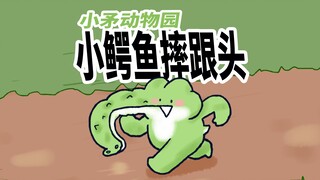 【小矛动物园】小鳄鱼夸夸在跑步，给大家做了一个好典范。