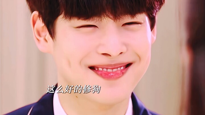 谁能拒绝得了这么温柔又深情的小奶狗 满心满眼只有喜欢的人 有点懂事得让我心疼呜呜呜#韩剧  #生存直播 #甜甜的恋爱 #高甜来袭