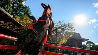 Cosplay Cinematic : Azur Lane AKAGI アズールレーン赤城コスプレ in 笠間稲荷神社