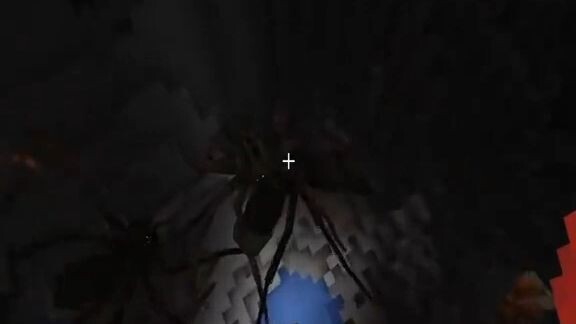 When you hate spiders
