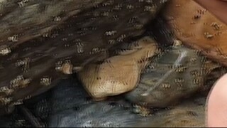 duwali fishing in Nepal | himalayan trout fishing |