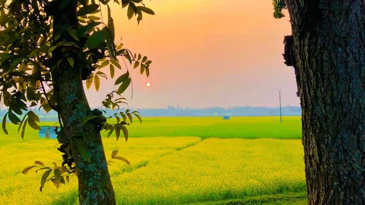 ভাগ্য কখনো ভুল হয় না ভুল হয় আমাদের বাছাই করার রাস্তা 💔