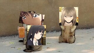 【哭泣少女乐队】土拨鼠吵架，就算这样我还是喜欢桃香