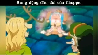 Rung động đầu đời của Chopper #anime