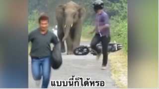 ผ่อนคลายกับสายฮา : แบบนี้ก็ได้หรอ
