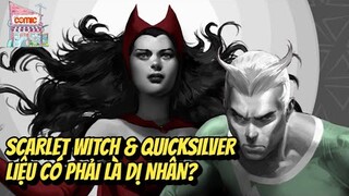 XÓA NGỘ NHẬN SCARLET WITCH VÀ QUICKSILVER | KIẾN THỨC BÊN LỀ | TẠP HÓA COMIC