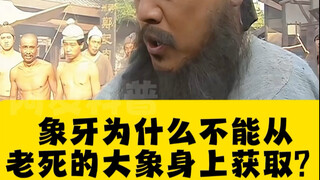 Why can’t ivory be obtained from elephants that have died of old age? #SciencePopularization #FunTri