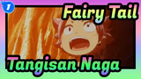 [Fairy Tail | Edisi Campuran] Tangisan Naga_1