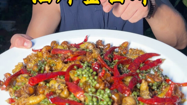 Fried golden cicadas are so delicious
