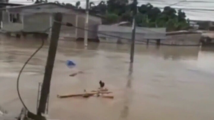 วิลสันนฉันขอโทษ🍗