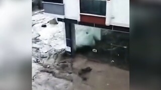 Di hadapan alam, manusia tidak berarti apa-apa