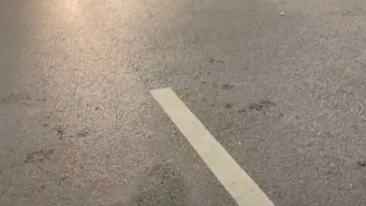 وصل السائق المتخصص بالطلب، فقال المالك: "هناك شجار هناك، ابدأ بالتوقيت أولاً، سأذهب لأشارك في الحدث.