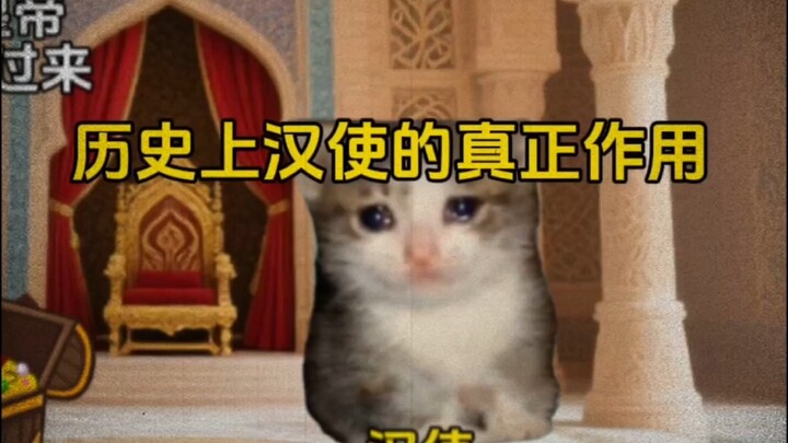 历史上汉使的真正作用#猫meme#搞笑#抽象#万万没想到#猫meme小剧场