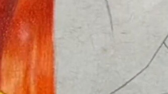 【Franek_art】Pensil warna murah vs pensil warna mahal |. Hanya pelukis biasa yang tidak pandai memili
