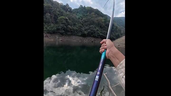 Kondisi memancing ikan kali ini lumayan bagus～