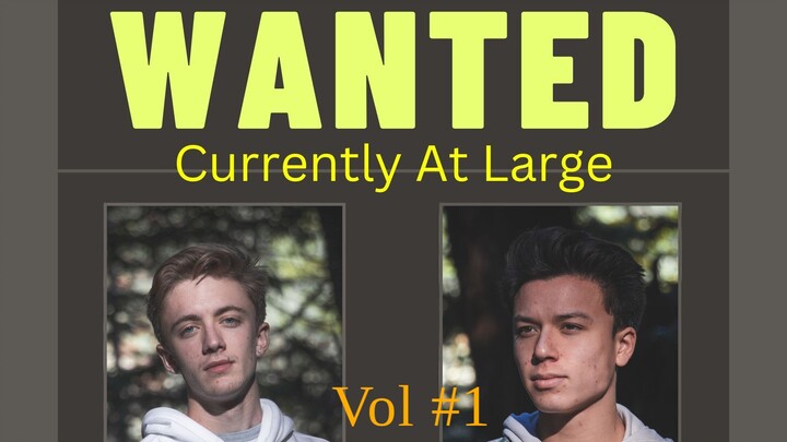 Analog Horror: The Arch of Mimics. (Trailer)