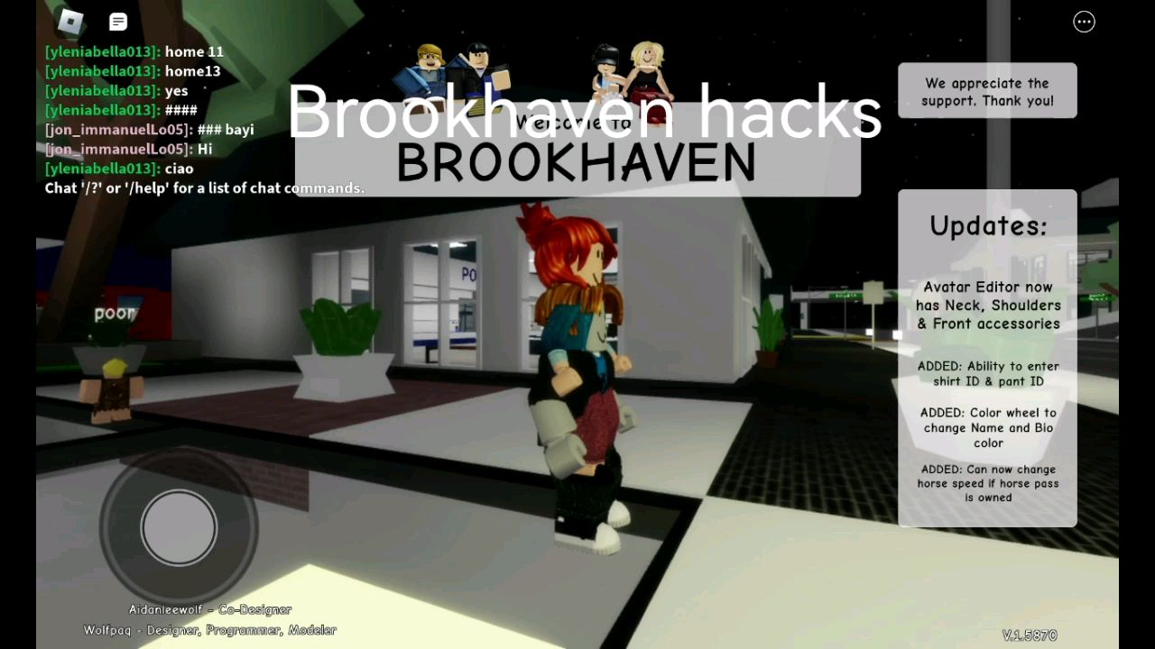 New brookhaven hack - BiliBili