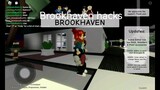 New brookhaven hack