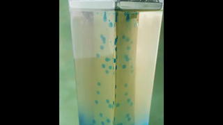 ลองทำบับเบิล