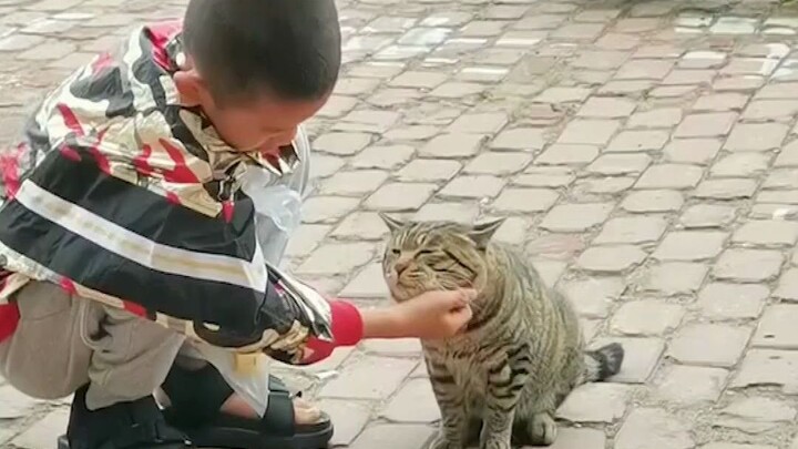 Can humans... really be so gentle?