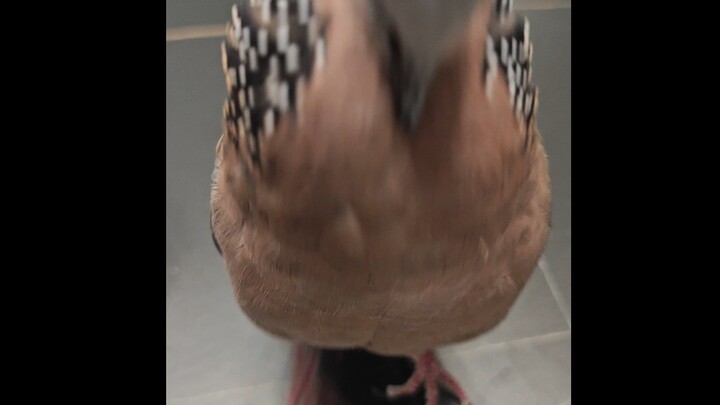 Stop stalling—keeping me waiting any longer would be rude!