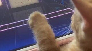 Let's get the music game little orange glowing!