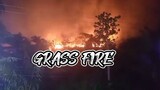 GRASS FIRE