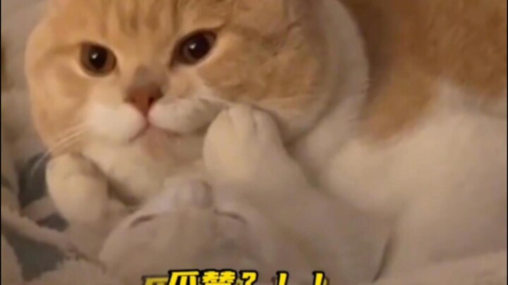 อีโมจิพิงแก้มยังมีตัวเลือกให้เปลี่ยนเล็บอีก! ฉันไม่ใช่คนสุดท้ายที่รู้แน่ๆ!