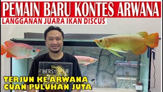 PEMAIN BARU ARWANA SUPER RED MALAH CUAN TANPA JADI JUARA DI KONTES ARWANA