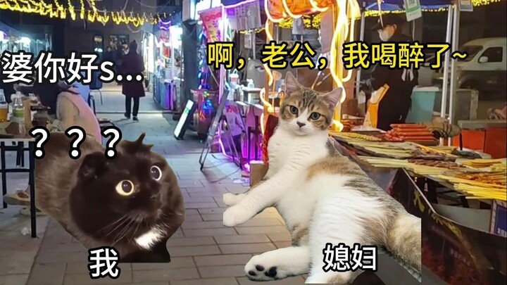 [Cat Meme] Carrying My Drunk Wife Home, She Actually Made This Request!