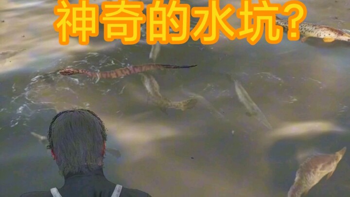 The most magical puddle in history—fishing has never been easier or more fun!