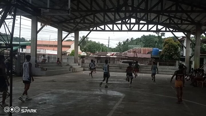 Ball is Life