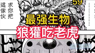 《真异种格斗大战》15 狼獾生吃老虎 不用比了 我宣布最强生物已经出炉