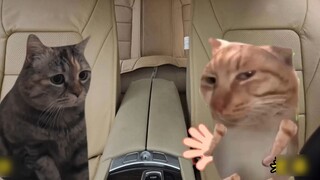 When your wife buys your pants