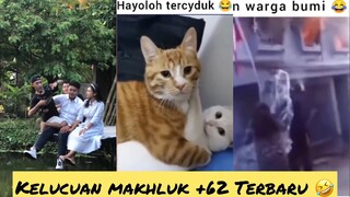 Video Lucu Ngakak Funny Moments Funny Videos