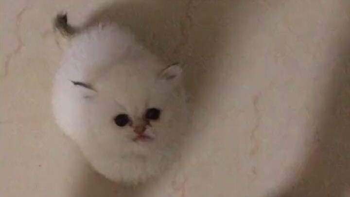 An Eternal, Unchanging Law