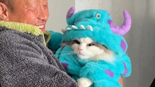My dad actually bought a piece of clothing for my cat at the children's clothing store