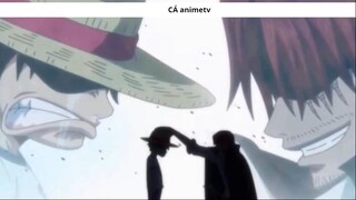 Những chi tiết _thánh_ Oda đã rãi nhằm cảnh báo về cái chết của Shanks ! 4