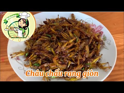 Tuyệt phẩm CHÂU CHẤU RANG GIÒN Ngon Như Ẩm Thực Mẹ Làm