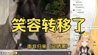 又一：这就是纯史😡弹幕：不赖😋