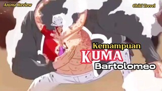 Kemampuan kuma bartolomeo