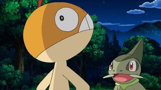 Pokemon Best Wishes tập 54: Zuruggu và Gothimu ích kỷ!