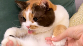 Baby, your hands are so tiny!