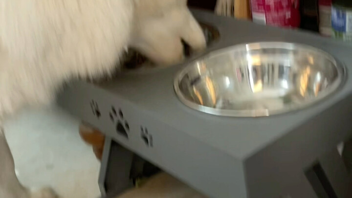 Mama bilang kita kan cuma keluarga biasa, yang penting semuanya sehat dan menjalani hidup dengan bai