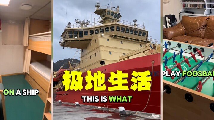 البحث في المناطق القطبية ليس عذابًا حيًّا ❄️ الحياة تردّ عليك مباشرة بقوة! 🤯