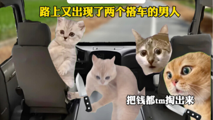 ผู้สมคบเงียบๆ