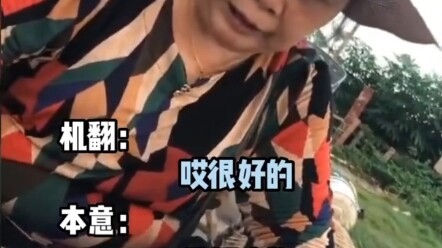 Guangdong Channel: Can you understand a conversation in “plastic” Mandarin and “plastic” Cantonese?